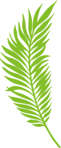 Green leaf